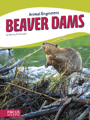 cover image of Beaver Dams